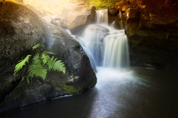 Waterfall in a colorful forest — Stock Photo, Image