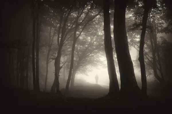 Homme marchant dans la forêt sombre — Photo