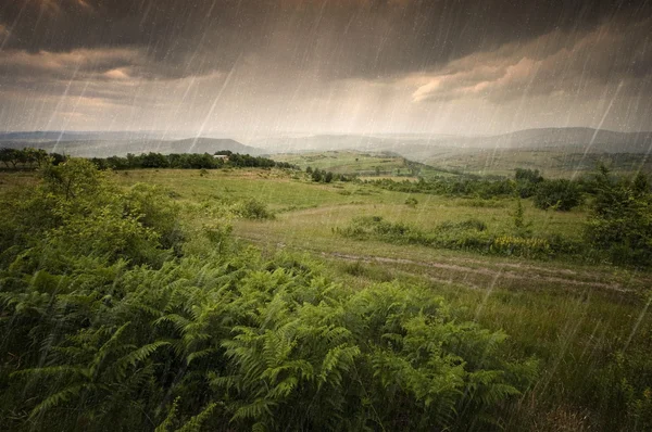 在一片草地下雨天 — 图库照片