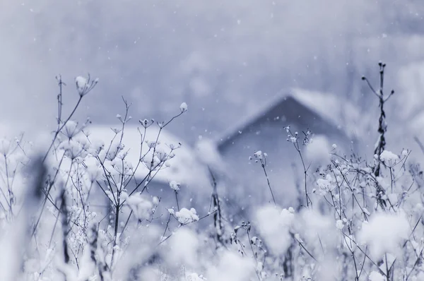 Зимний пейзаж с падающими снежинками — стоковое фото