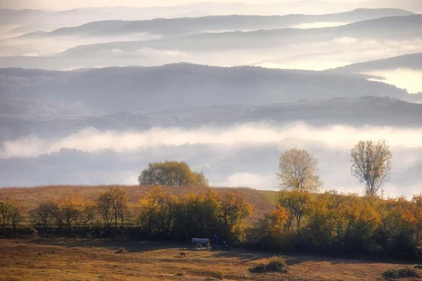 Пейзаж с туманом на холмах — стоковое фото