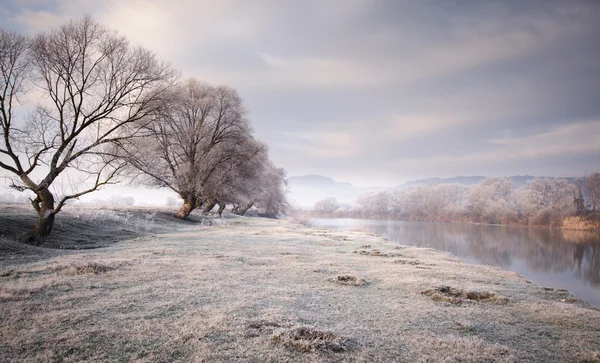 Rivière avec givre sur l'herbe — Photo