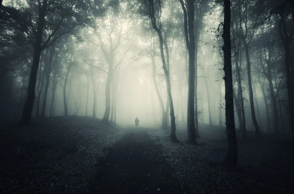 Silhouette d'homme dans la forêt effrayante — Photo