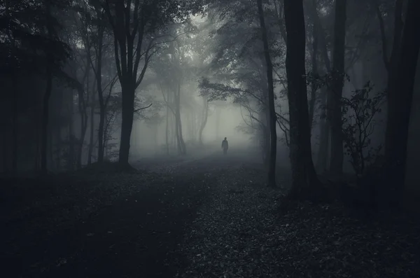 Man silhouette in spooky forest — Stock Photo, Image
