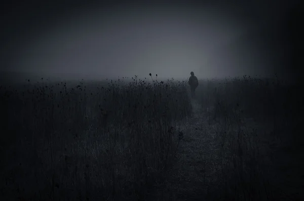 Темный пейзаж с человеком — стоковое фото