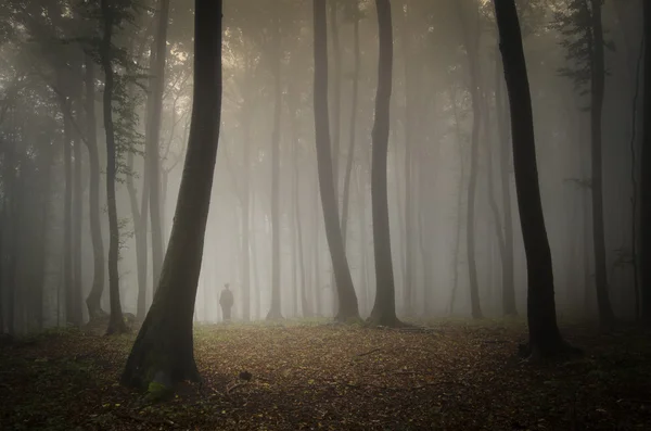 Man silhouette in spooky forest — Stock Photo, Image