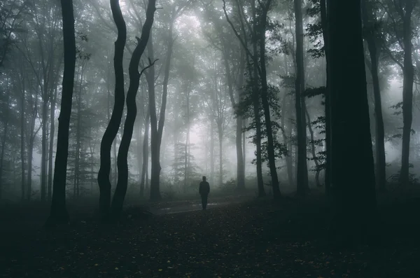 Sylwetka człowieka w lesie spooky — Zdjęcie stockowe