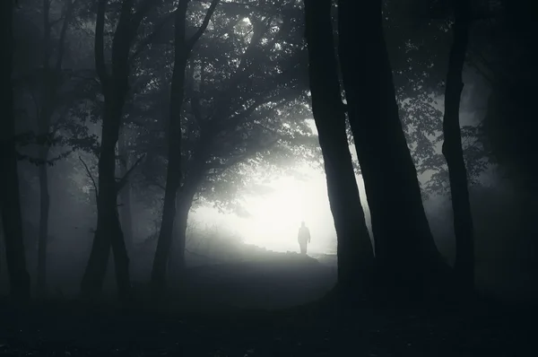 Silueta de hombre en bosque espeluznante — Foto de Stock