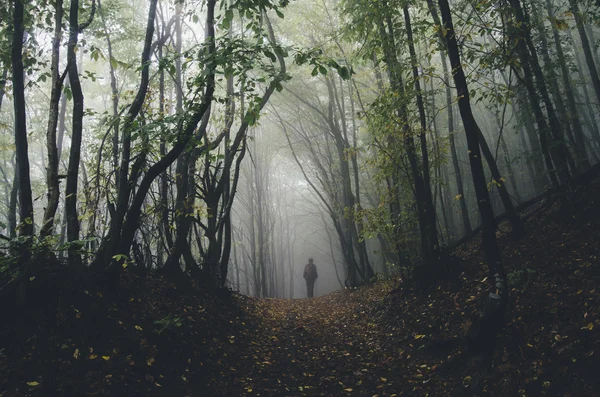 Man silhouette in spooky forest — Stock Photo, Image