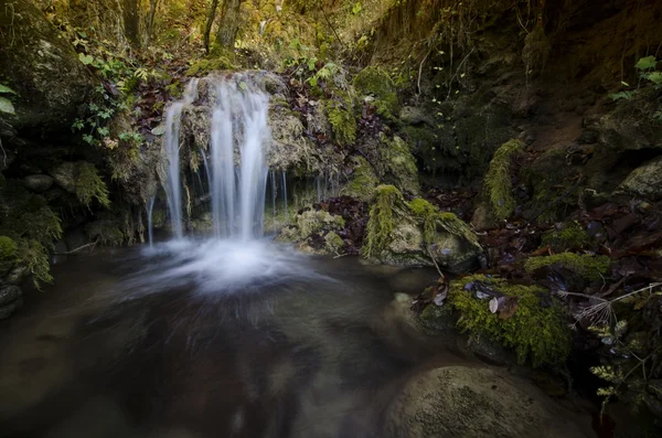 Cascada en un río de montaña —  Fotos de Stock