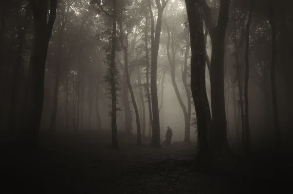 Man silhouette in spooky forest — Stock Photo, Image