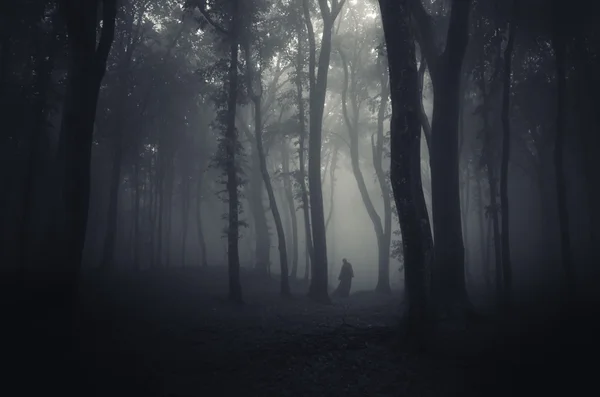 Man silhuetten i spooky skog — Stockfoto