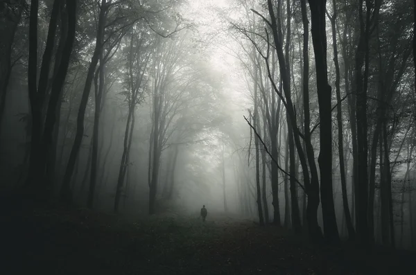 Man silhuetten i spooky skog — Stockfoto