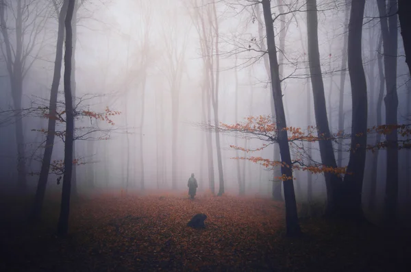 Uomo silhouette nella foresta spettrale — Foto Stock