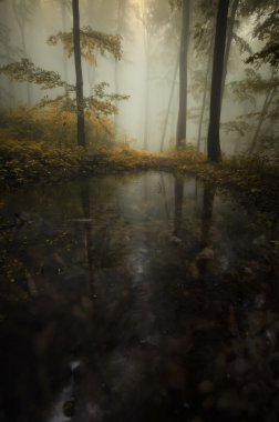 dark lake in spooky forest clipart