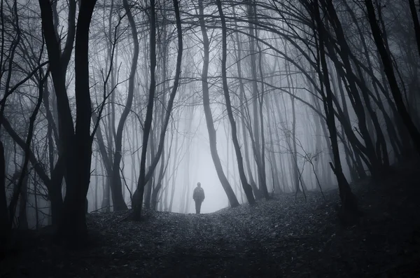 Man silhouette in spooky forest — Stock Photo, Image