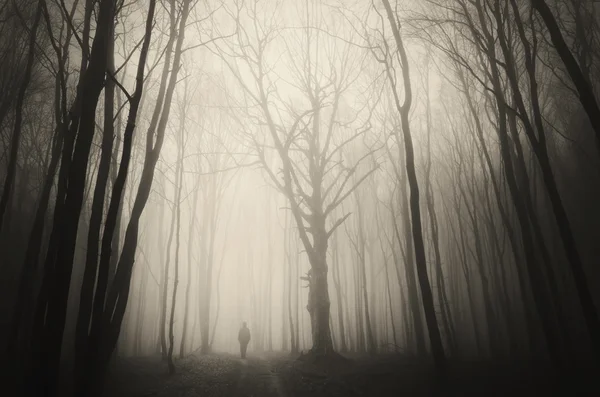 Silueta de hombre en bosque espeluznante — Foto de Stock