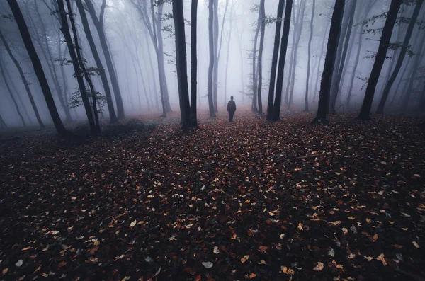 Silhouette d'homme dans la forêt effrayante — Photo