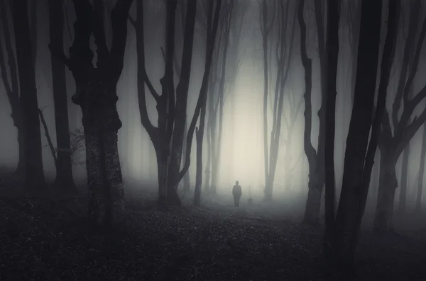 Чоловічий силует у сумному лісі — стокове фото