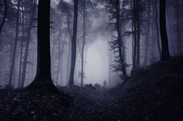 Sylwetka człowieka w lesie spooky — Zdjęcie stockowe