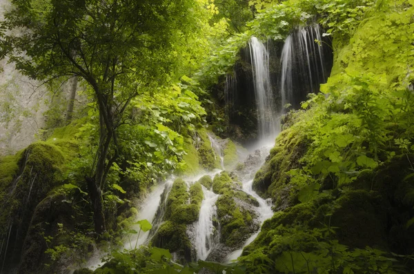 Waterfall in green forest — Stock Photo, Image