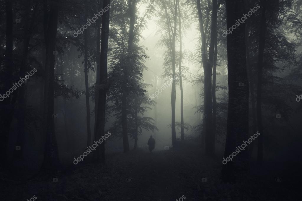 Осенний Лес Фото Реальные Без Фотошопа