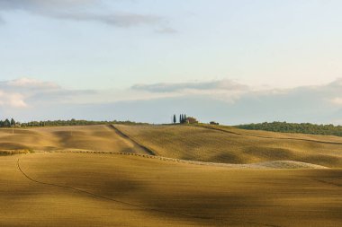 Doğal güneşli manzara. Sabahları dalgalı tarlalar, Toskana, İtalya, Avrupa.