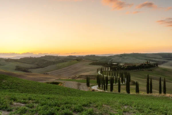 Toscana, paisaje rural al atardecer. Granja rural, cipreses, campo verde, sol y nubes. Italia, Europa. —  Fotos de Stock