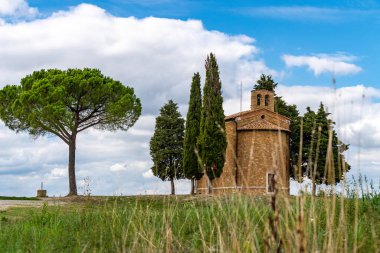 Tarlanın ortasında selvi çiçekleri olan bir şapel. Tepedeki kilise ve yeşil çevre. Madonna di Vitaleta Şapeli, Siena, Toskana, İtalya.