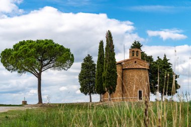 Tarlanın ortasında selvi çiçekleri olan bir şapel. Tepedeki kilise ve yeşil çevre. Madonna di Vitaleta Şapeli, Siena, Toskana, İtalya.