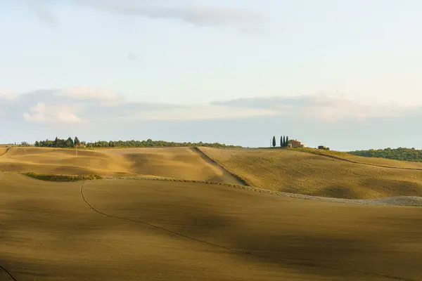 Природний сонячний ландшафт. Ваві поля вранці, Тоскана, Італія, Європа.. — стокове фото