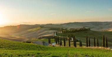 Tanınmış bir Toskana manzarası tahıl tarlaları, selvi ağaçları ve gün batımında tepelerde evler. Tuscany, İtalya ve Avrupa 'da dolambaçlı yolu olan sonbahar kırsal arazisi.