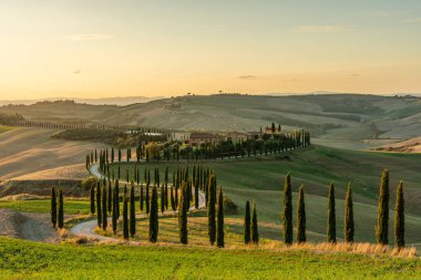 Tanınmış bir Toskana manzarası tahıl tarlaları, selvi ağaçları ve gün batımında tepelerde evler. Tuscany, İtalya ve Avrupa 'da dolambaçlı yolu olan sonbahar kırsal arazisi.