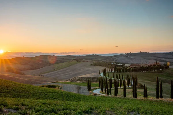 Un paisaje toscano bien conocido con campos de grano, cipreses y casas en las colinas al atardecer. Paisaje rural otoñal con sinuoso camino en Toscana, Italia, Europa. —  Fotos de Stock