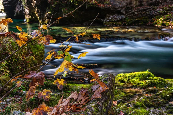 Gorgeous fall scene. The fall colors look great in the deep woods. View of a waterfall in the fall. The fall colors add amazing beauty to the forest. Soteska Vintgar. Slovenia.