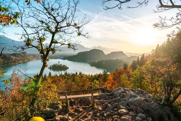 Vista incrível do Lago Bled em uma manhã de outono com um banco de madeira em primeiro plano e montanhas no fundo, Eslovênia. O conceito de viagem e relaxamento — Fotografia de Stock