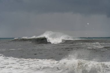 İzlanda 'nın güney kıyısındaki ünlü Reynisfjara kayaları yakınlarındaki kara volkanik sahilde şiddetli dalgalar.