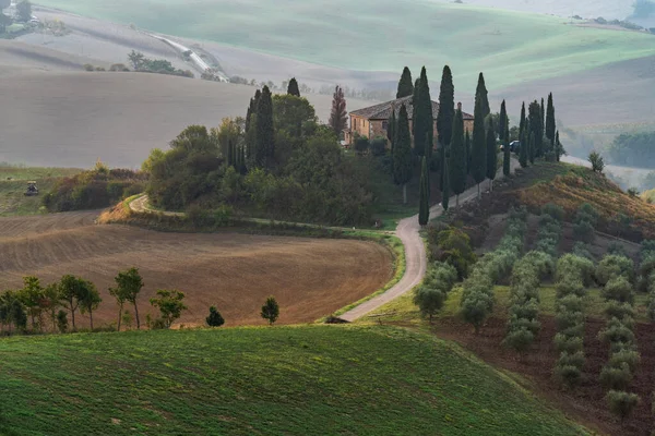 Scenic panorama of the Tuscan landscape with hills and harvest fields in golden morning light, Val dOrcia, Italy. — Stock Photo, Image