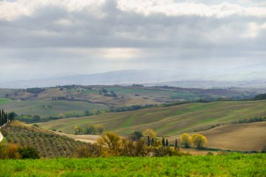 Doğal güneşli manzara. Sabahları dalgalı tarlalar, Toskana, İtalya, Avrupa.