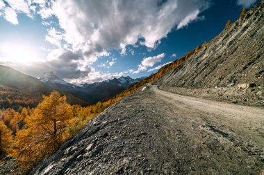 İsviçre 'nin Zermatt tepelerinde güzel renkli tarlalar.