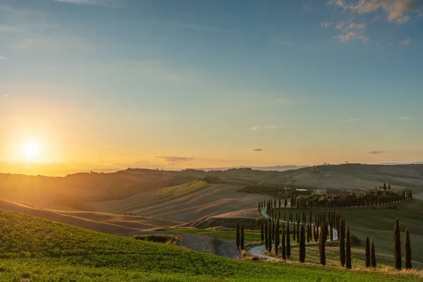Un paisaje toscano bien conocido con campos de grano, cipreses y casas en las colinas al atardecer. Paisaje rural otoñal con sinuoso camino en Toscana, Italia, Europa. —  Fotos de Stock