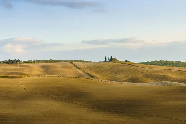 Природний сонячний ландшафт. Ваві поля вранці, Тоскана, Італія, Європа.. — стокове фото