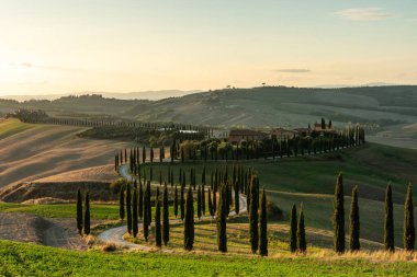 Tanınmış bir Toskana manzarası tahıl tarlaları, selvi ağaçları ve gün batımında tepelerde evler. Tuscany, İtalya ve Avrupa 'da dolambaçlı yolu olan sonbahar kırsal arazisi.