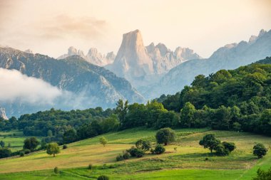 Asturias, İspanya 'da Picu Urriellu olarak bilinen Naranjo de Bulnes.