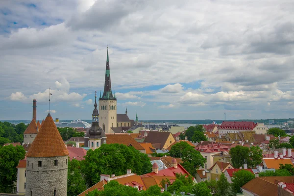 Letní pohled na staré město. Estonsko, Tallinn. — Stock fotografie