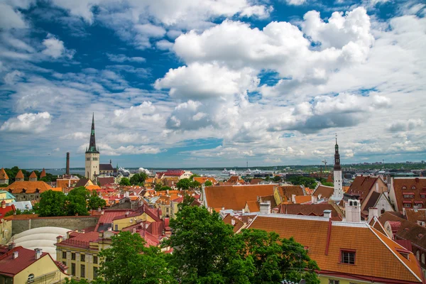 Letní pohled na staré město. Estonsko, Tallinn. — Stock fotografie