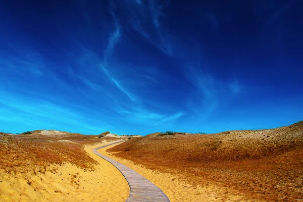 Strada di legno tra le dune di sabbia . — Foto Stock