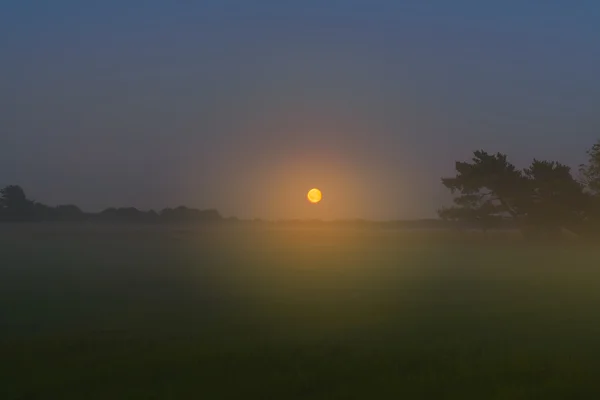 Höstnatt skog stiga med ljusa månen i moln — Stockfoto