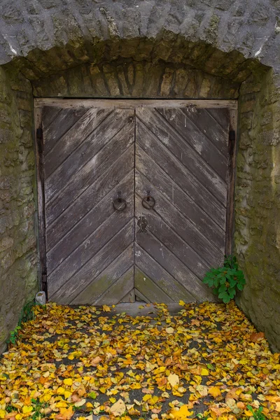 Старая деревянная дверь и каменная стена — стоковое фото
