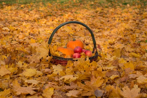 Pumpkin, apple, basket and leaves — Stock Photo, Image